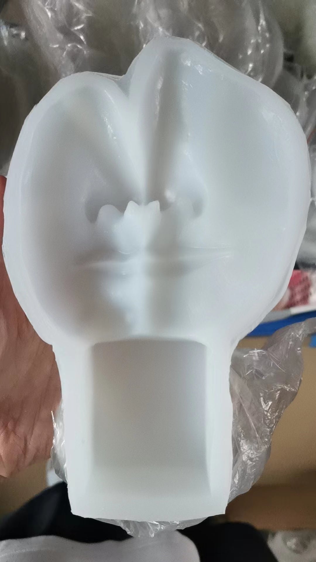 Abstract Facial Candle Mould