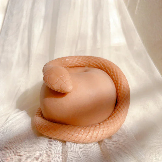 Realistic Snake Apple Candle Silicone Mould
