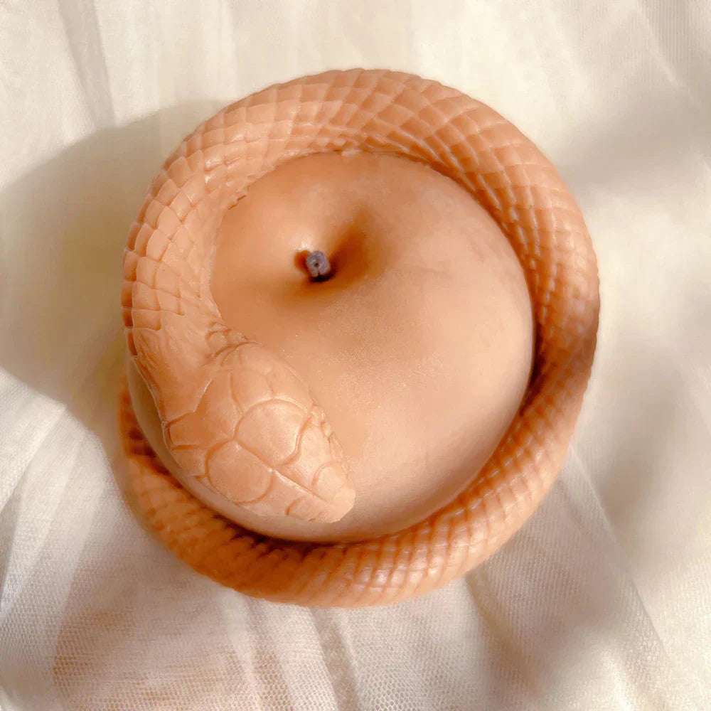 Realistic Snake Apple Candle Silicone Mould