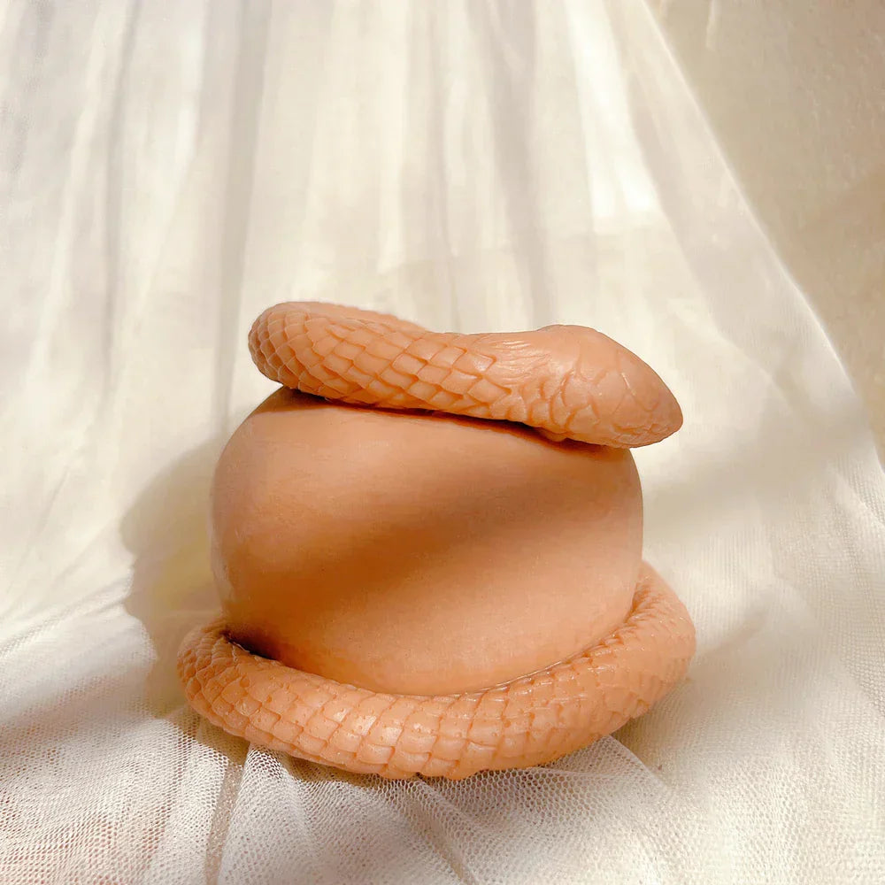 Realistic Snake Apple Candle Silicone Mould