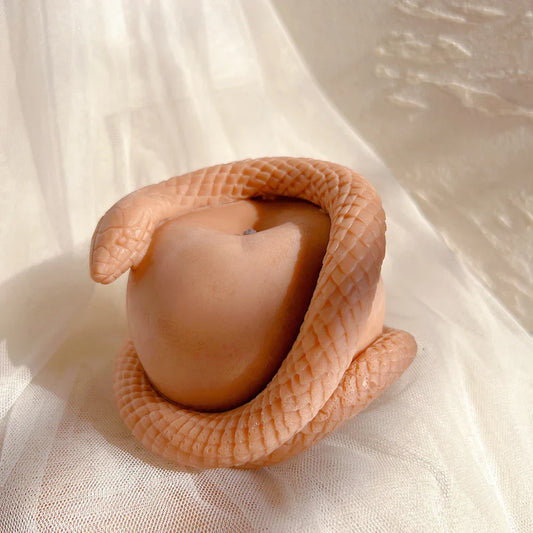Realistic Snake Apple Candle Silicone Mould