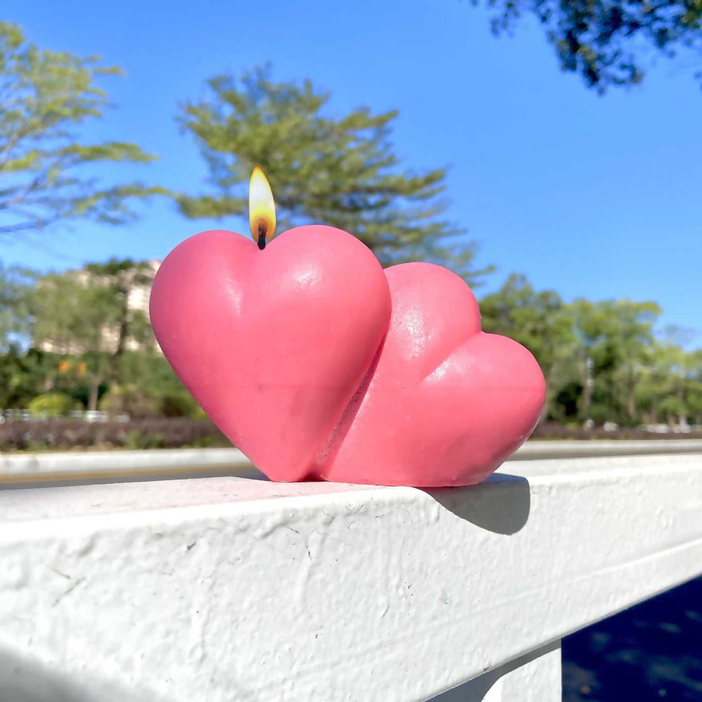 3D Double Linked Hearts Candle Mould - Buy Now!