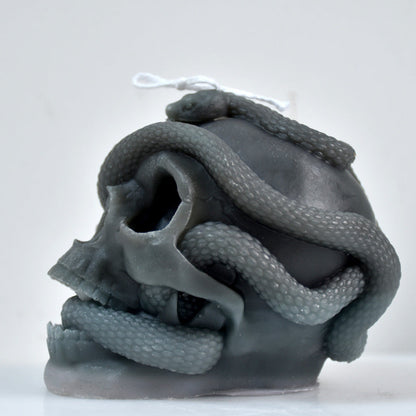 Craft Haunting Halloween Candles with Snake Winding Skull Mould | DIY Candles Moulds