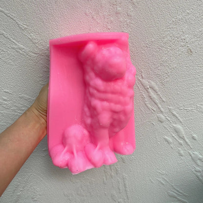 Border Collie Candle Mould Silicone