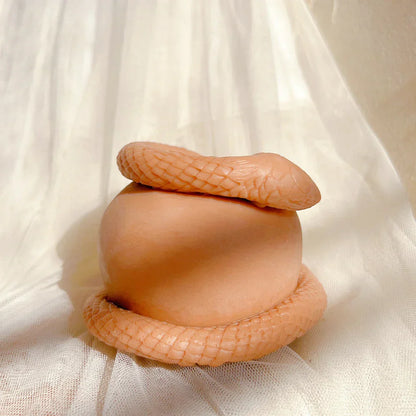 Realistic Snake Apple Candle Silicone Mould